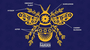 Diagram showing different flowers that make up bee design; Hyssop, obedient plant, sunflower, cherry blossom, and aster